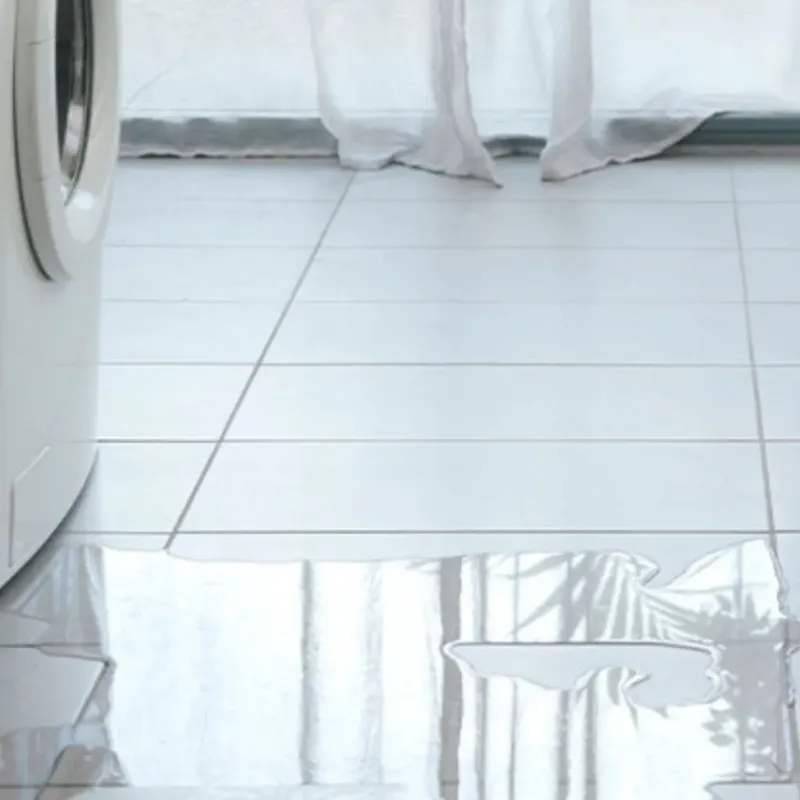 Appliance Leak Cleanup in Adrian, MN